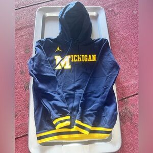 Jordan Michigan hoodie